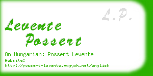 levente possert business card